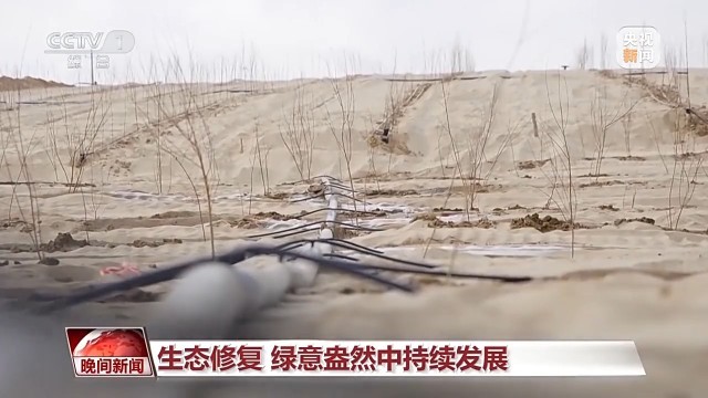 必赢平台多维度 很亮眼我国绿色发展交答卷(图7)