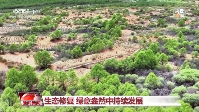 必赢平台多维度 很亮眼我国绿色发展交答卷(图8)