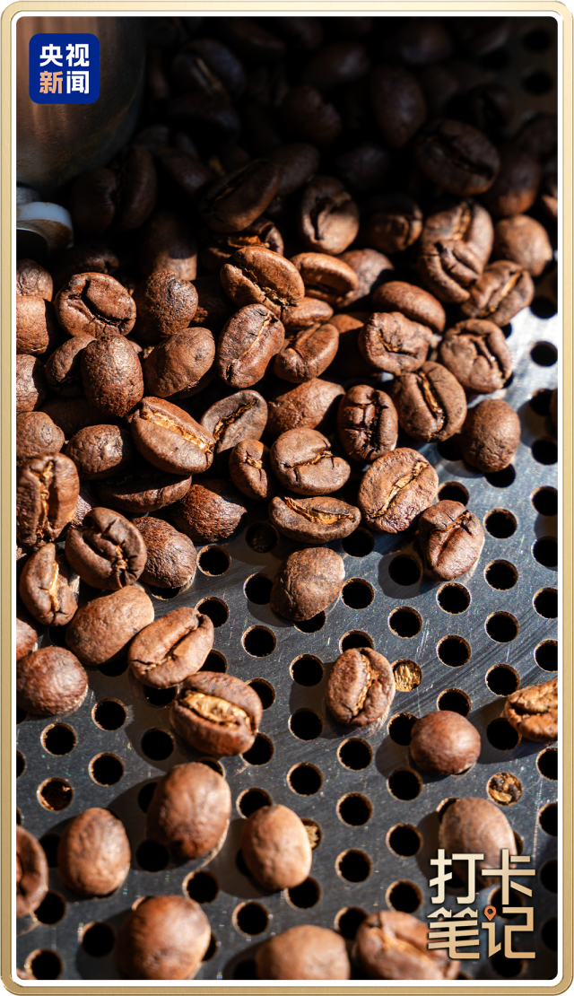 啡何以代表中国?麻将胡了云南咖(图4) 啡何以代表中国?麻将胡了云南咖(图4)