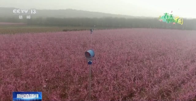 科学管理助力春耕 各地田间地头热闹迎春(图7)