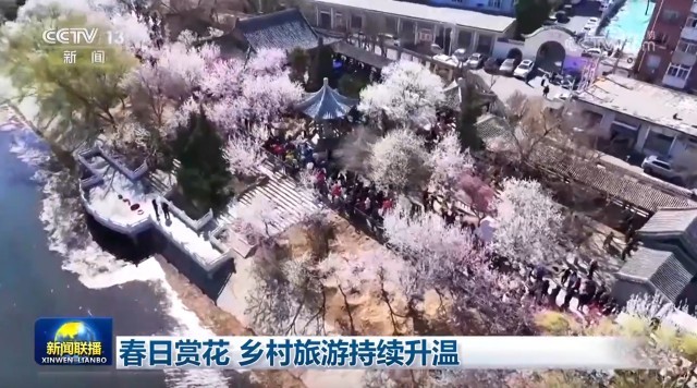 春日赏花 乡村旅游持续升温一竞技(图1)