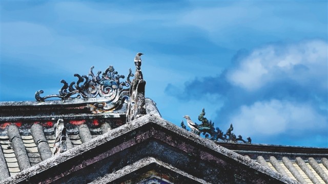 文化中国行丨侨乡文昌十八行村古民居:门门相对兄弟同心(图1)