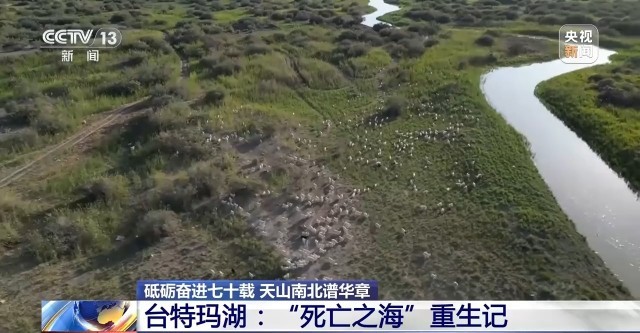 十年巧治流沙 台特玛湖焕然新生