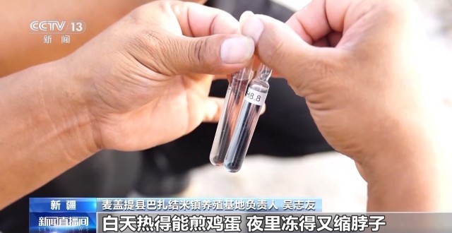 沙漠里养虾让百姓的日子越过越红火(图2)