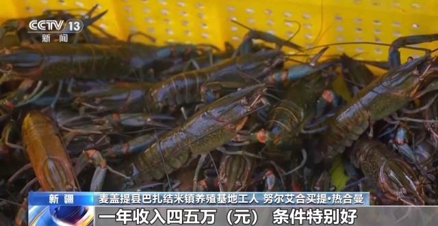 沙漠里养虾让百姓的日子越过越红火(图4)