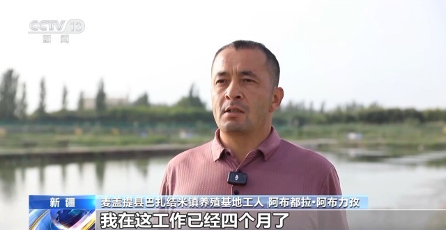 沙漠里养虾让百姓的日子越过越红火(图5)