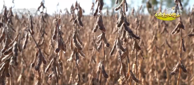 希望的田野满满“科技范” 智慧农业绘就千里沃野好“丰”景(图6)