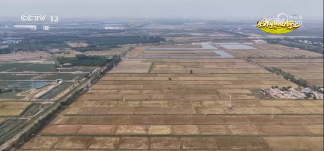 希望的田野满满“科技范” 智慧农业绘就千里沃野好“丰”景(图10)