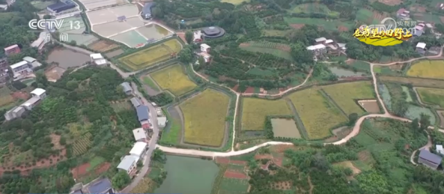 希望的田野满满“科技范” 智慧农业绘就千里沃野好“丰”景(图11)