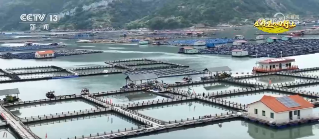 希望的田野满满“科技范” 智慧农业绘就千里沃野好“丰”景(图13)