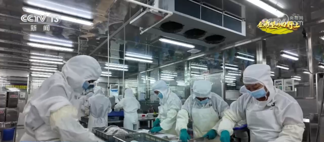 希望的田野满满“科技范” 智慧农业绘就千里沃野好“丰”景(图14)