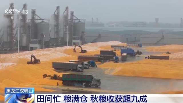 Bwin必赢秋收进入冲刺阶段各地多举措确保粮食“颗粒归仓”(图2)