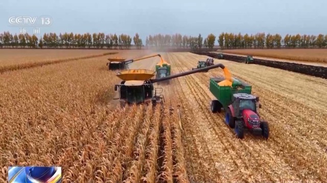 Bwin必赢秋收进入冲刺阶段各地多举措确保粮食“颗粒归仓”(图3)