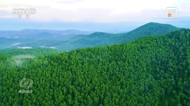 数说“十四五”绿色发展(图3)