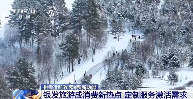 从老有所养到老有所享我国银发消费正跨越升级(图11)