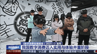 一组数据看懂我国数字消费潜力(图5)