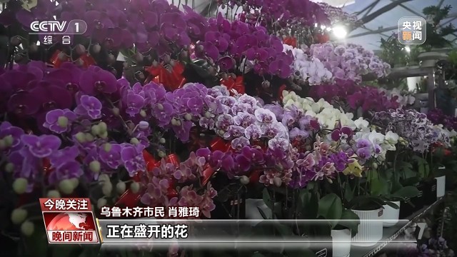赶大集、逛花市元旦消费市场活力十足(图8)