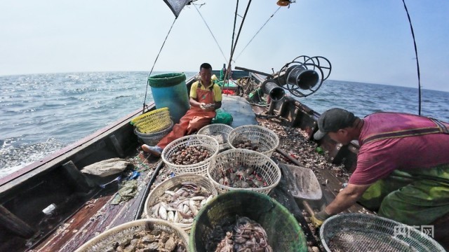 行进的海岸线｜陆海统筹看中国经济向海图强的价值共生(图6)