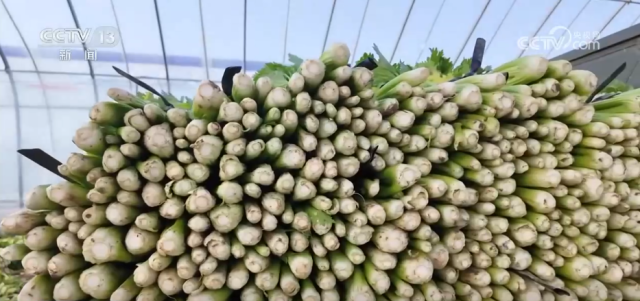 九游娱乐：各地冬日果蔬供应量足价稳丰富节日期间百姓“菜篮子”“果盘子”(图2)