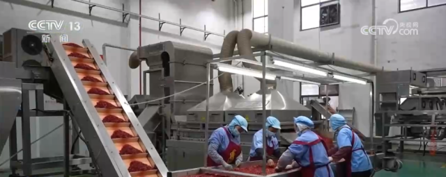 九游娱乐：各地冬日果蔬供应量足价稳丰富节日期间百姓“菜篮子”“果盘子”(图9)