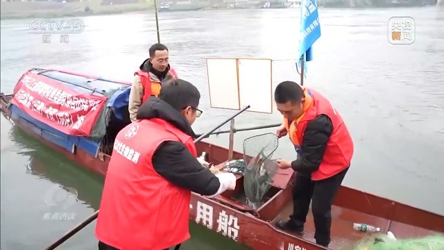 新时代长江之歌 十年守护见证绿色蝶变(图1)