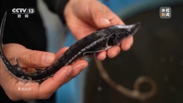 新时代长江之歌 十年守护见证绿色蝶变(图2)