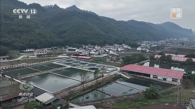 新时代长江之歌 十年守护见证绿色蝶变(图3)