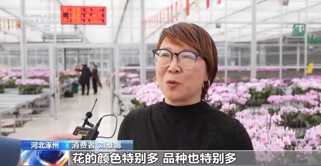 非遗映春 年宵花俏 解锁中国年消费新场景(图5)