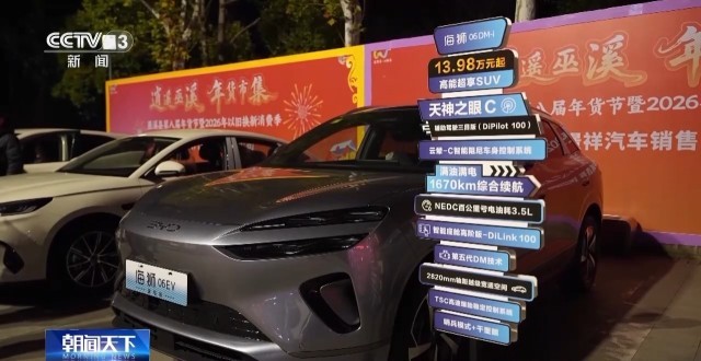 非遗映春 年宵花俏 解锁中国年消费新场景(图7)