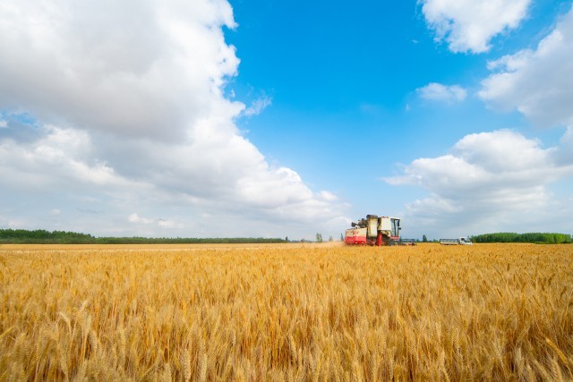 熊猫体育资讯：行稳致远开新局创新综合指标再跃升白山松水如何抢占发展新“吉”遇？(图9)