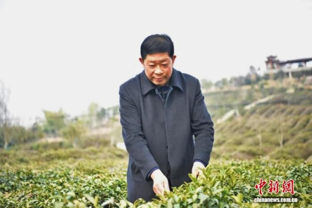 Pg电子游戏：乡村振兴中的变与不变：从面朝黄土到数字农田(图2)