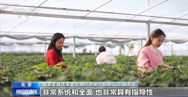 “十五五”“三农”新目标：主动应变稳中求进(图1)