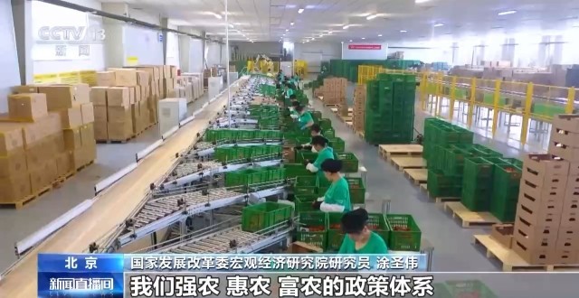 “十五五”“三农”新目标：主动应变稳中求进(图8)