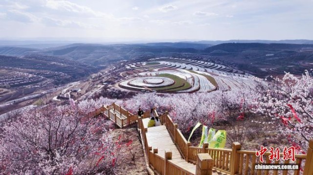 西北赏花经济升温：从一季风光到全域产业(图3)