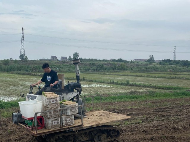 安徽全面完成夏种粮食播种并部署推进规模经营