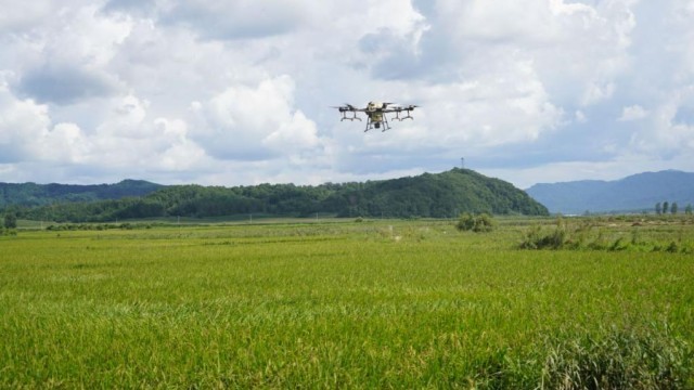 众志成城 防汛救灾丨吉林受灾地区加强田间管理降低农业损失雷火 雷火电竞 app(图1)