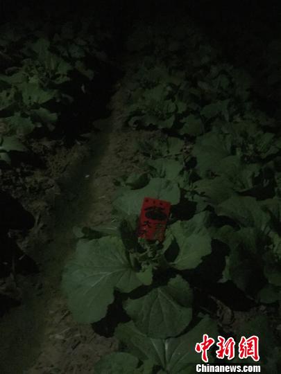 ͵�����ױ�͵��