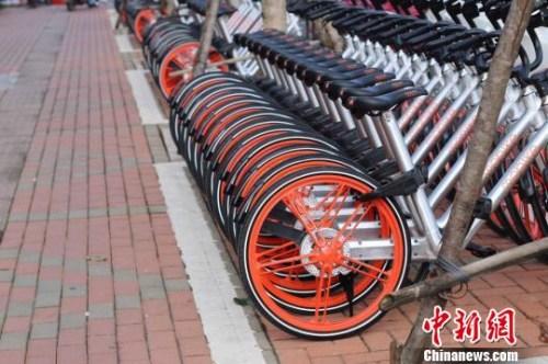 摩拜单车进驻海口 为全国第20城-最新国内资讯
