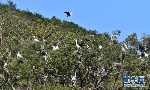 ��ͼ�Ļ�������2����д�������ٴ塱��˵������