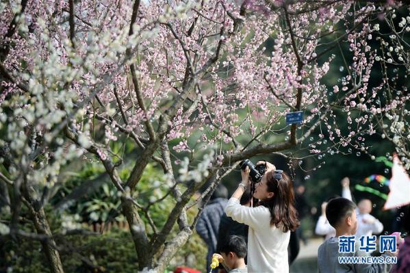 ����������1���Ϸʣ�÷������������