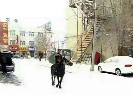 ���Ա�����Ͱ���