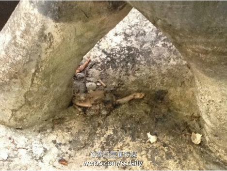 恐怖!巨型蜥蜴吃掉了4个月大婴儿 惨不忍睹只剩残骸