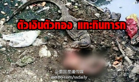 �ֲ�!��������Ե���4���´�Ӥ�� �Ҳ��̶�ֻʣ�к�