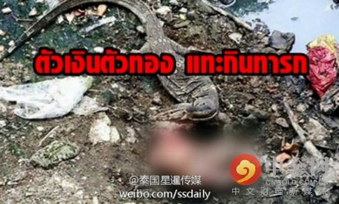 ��������Ե�Ӥ��