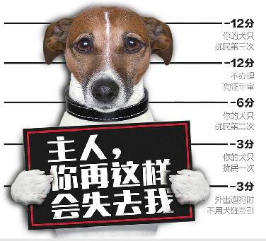 济南养犬积分制 电子定位犬牌可用APP管理狗