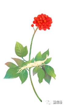 女生节撩妹还得看清华！清华男生说情话，行家啊