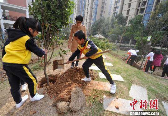 福州校园开展 大手牵小手 播种绿色 植树活动