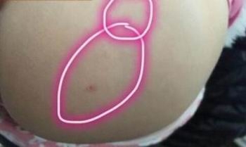 ��ʦ��ָ����С��