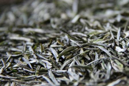 南京头锅雨花茶 游客可亲身采茶探秘生产车间