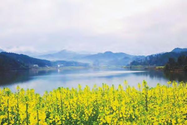 阳春三月 赏花踏青正当时  第6张